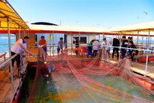 강호 지락 > 미리내좌대 : 낚시사랑