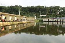 붕어도인 > 화성 관리낚시터 : 낚시사랑