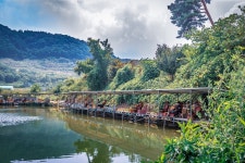 예담2 > 서곡낚시터 : 낚시사랑