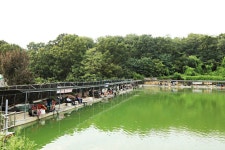 붕어도인 > 남양주 새말낚시터 : 낚시사랑