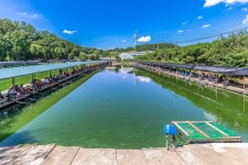 예담2 > 양주 삼하낚시터 : 낚시사랑