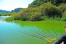 낚시사랑 > 고삼지 양촌낚시터 : 낚시사랑