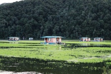 노아주 > 송전지 수원좌대 : 낚시사랑