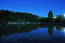 낚시사랑 > 새말낚시터 : 낚시사랑