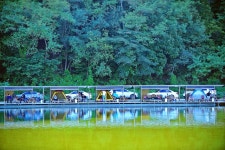 낚시사랑 > 용인 사계절낚시터 : 낚시사랑