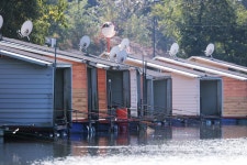 노아주 > 도곡낚시터 : 낚시사랑