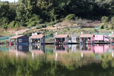 노아주 > 도곡낚시터 : 낚시사랑