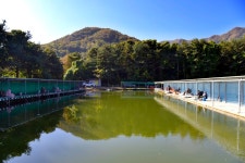 강호지락 > 태산 낚시터 : 낚시사랑