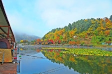 낚시사랑 > 춘천 강촌낚시터 : 낚시사랑