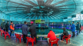 예담2 > 새 판 짜고 무한 질주 ~~!! 자유로 낚시터 : 낚시사랑