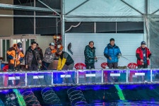 예담2 > 새 판 짜고 무한 질주 ~~!! 자유로 낚시터 : 낚시사랑