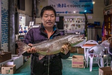 예담2 > 도심 속 한 뼘, 쉬어가는 도시의 바다 : 낚시사랑