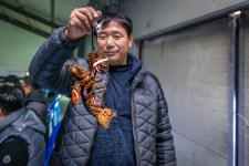 예담2 > 도심 속 한 뼘, 쉬어가는 도시의 바다 : 낚시사랑
