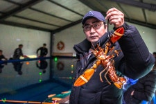 예담2 > 도심 속 한 뼘, 쉬어가는 도시의 바다 : 낚시사랑