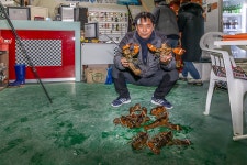 예담2 > 도심 속 한 뼘, 쉬어가는 도시의 바다 : 낚시사랑