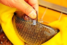 낚시사랑 > 광주 목현낚시터 : 낚시사랑