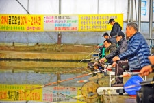 낚시사랑 > 평택 함박골낚시터 : 낚시사랑