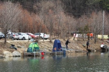 붕어도인 > 양평 수곡낚시터 : 낚시사랑