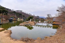 강호지락 > 안성 개나리 낚시공원 : 낚시사랑