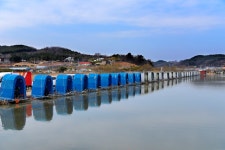 강호지락 > 영흥도 내동낚시터 : 낚시사랑