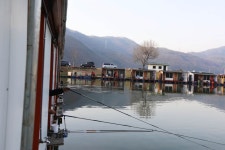 붕어도인 > 양평 대석낚시터 : 낚시사랑