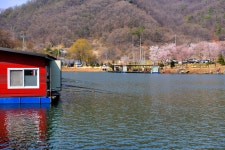 강호지락 > 양평 수곡낚시터 : 낚시사랑
