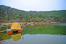 낚시사랑 > 토종 소근지 : 낚시사랑