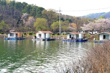 강호지락 > 고삼 수상레저하우스 : 낚시사랑