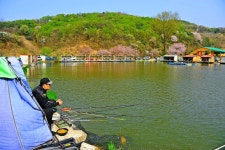 낚시사랑 > 음성 복상골낚시터 : 낚시사랑