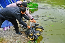 낚시사랑 > 음성 복상골낚시터 : 낚시사랑