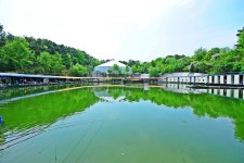 낚시사랑 > 여주 여주낚시터 : 낚시사랑