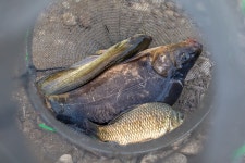 예담2 > [고산 낚시터] : 낚시사랑