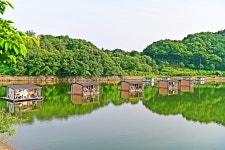 낚시사랑 > 안성 두메낚시터 : 낚시사랑