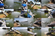 붕어도인 > 화성 고잔낚시터 : 낚시사랑