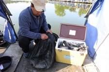 붕어도인 > 화성 고잔낚시터 : 낚시사랑