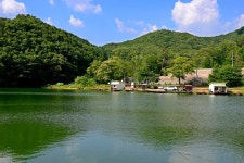 강호지락 > 양평 그린낚시터 : 낚시사랑