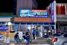강호지락 > 피문어 올해는 대박 ... : 낚시사랑