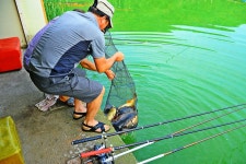 낚시사랑 > 음성 복상골낚시터 : 낚시사랑