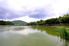 강호지락 > 안성 소로리낚시터 : 낚시사랑