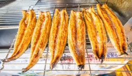 예담2 > 낚시의 합리적 혁신~! 연곡 바다 낚시 : 낚시사랑