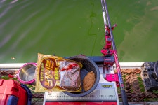 예담2 > [마전 낚시터] : 낚시사랑