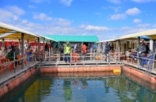 강호지락 > 미리내 좌대 : 낚시사랑