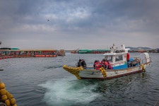 예담2 > 나의 겨울을 찾아~* 부흥호 좌대 : 낚시사랑
