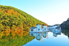 낚시사랑 > 덕송지 수상풍차낚시터 : 낚시사랑