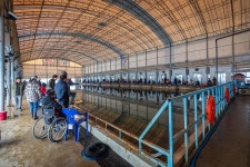 예담2 > 해답은 강화닷~!! 황산초지 사계절 하우스 : 낚시사랑