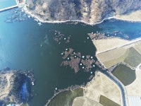 노아주 > 고삼지 양촌좌대 : 낚시사랑