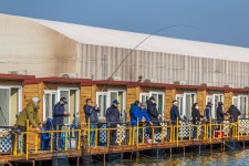 예담2 > 봄 개장 빅뱅~~ 궁평 바다 낚시터 : 낚시사랑