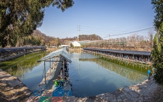 예담2 > [삼하 낚시터] : 낚시사랑