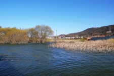 노아주 > 토종 안골지 : 낚시사랑