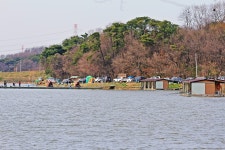 붕어도인 > 화성 고잔낚시터 : 낚시사랑